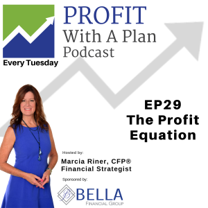 EP29 Profit Equation