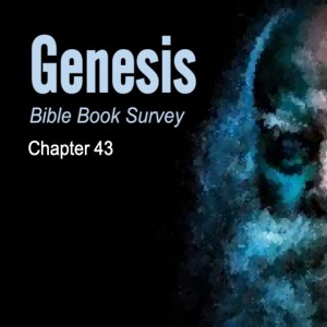 Genesis 43