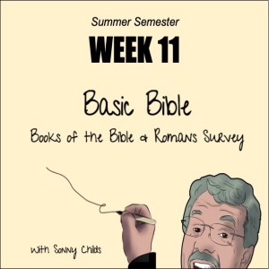 Basic Bible Books, Week Eleven: 7-31-22