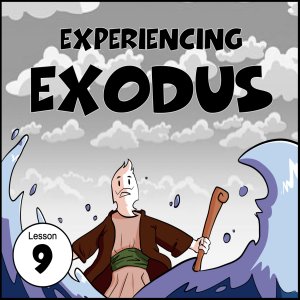 Experiencing Exodus 9