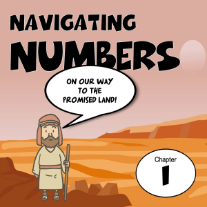 Navigating Numbers 1