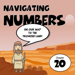 Navigating Numbers 16