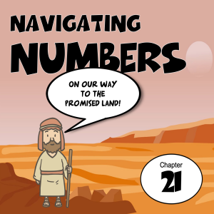 Navigating Numbers 17