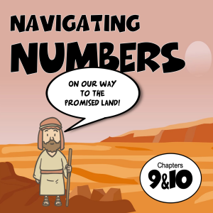 Navigating Numbers 6