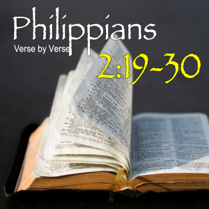 Philippians Verse by Verse: 3-12-23