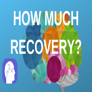 Traumatic Brain Injury Recovery: What Neuropsychological Testing Says About the Extent and Speed of Recovery