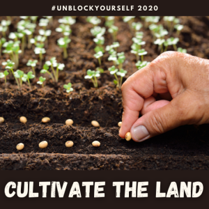 Cultivate The Land