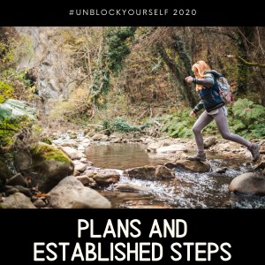 Plans and Established Steps