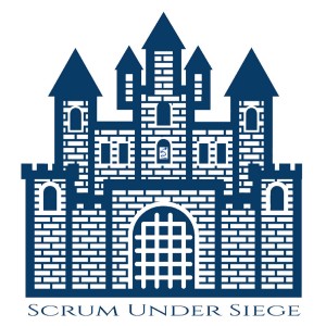 Looking for a Scrum Master