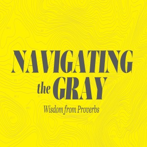 Wisdom in Work & Rest (Navigating the Gray)