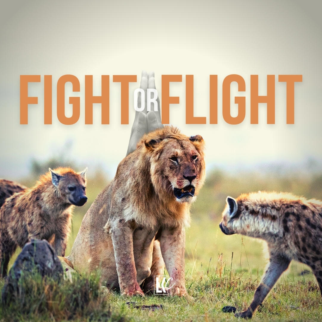 Fight or Flight | LoveKey Church Message of the Week Podcast | Gawie De Lange