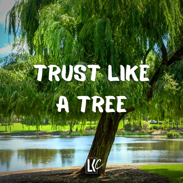 Trust Like A Tree | LoveKey Church Message of the Week | Heinz & Aletté Winckler