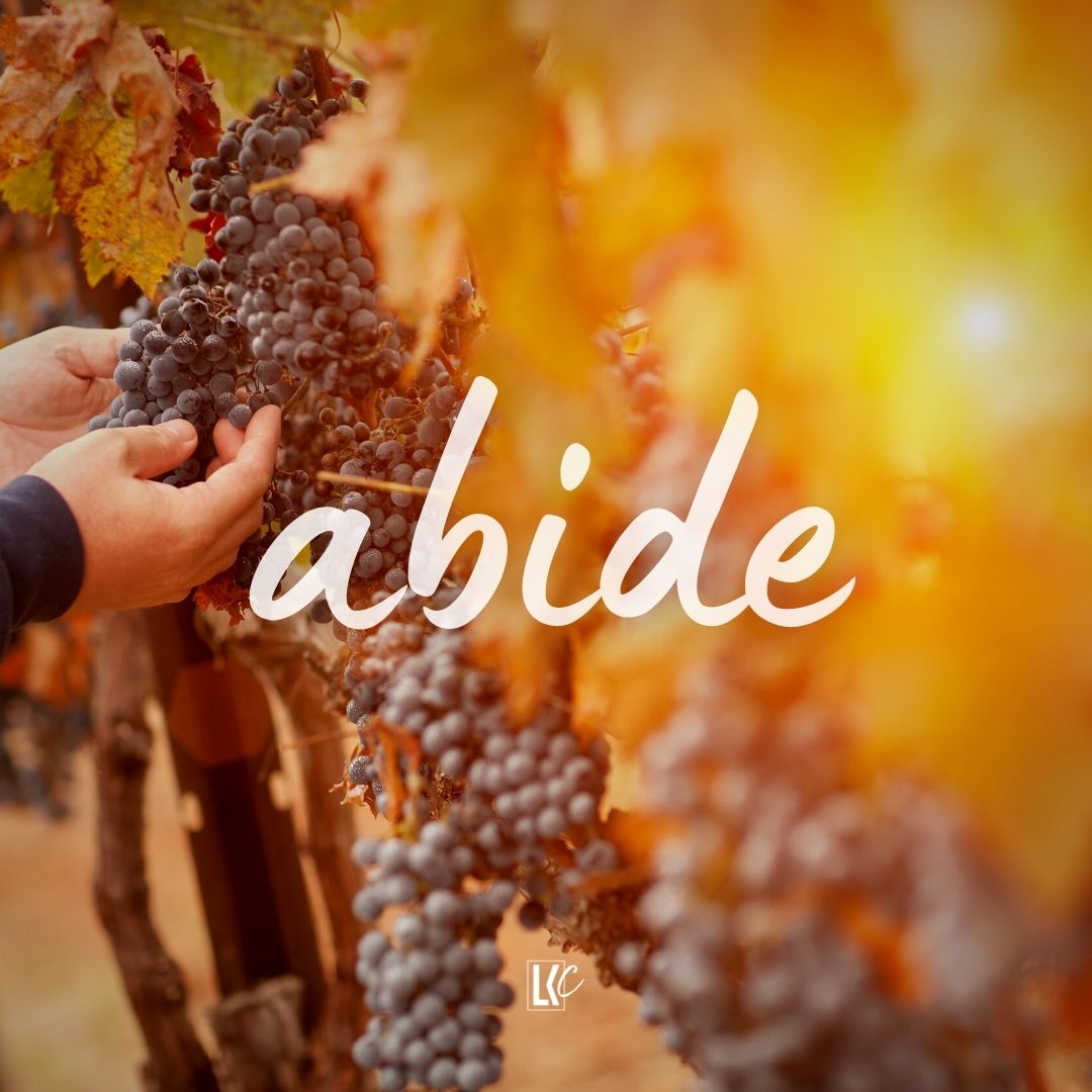 Abide | LoveKey Church Message of the Week Podcast | Heinz Winckler