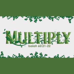 Multiply | LoveKey Church Podcast | Ps Anthony Liebenberg