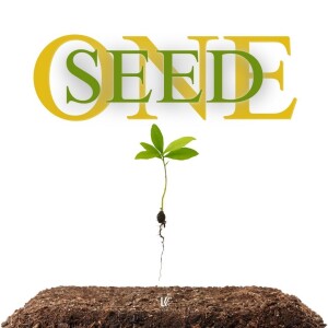 One Seed | LoveKey Church Message of the Week Podcast | Heinz Winckler