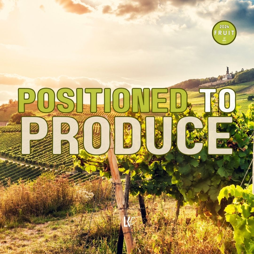 Positioned to Produce | LoveKey Message of the Week Podcast | Heinz Winckler