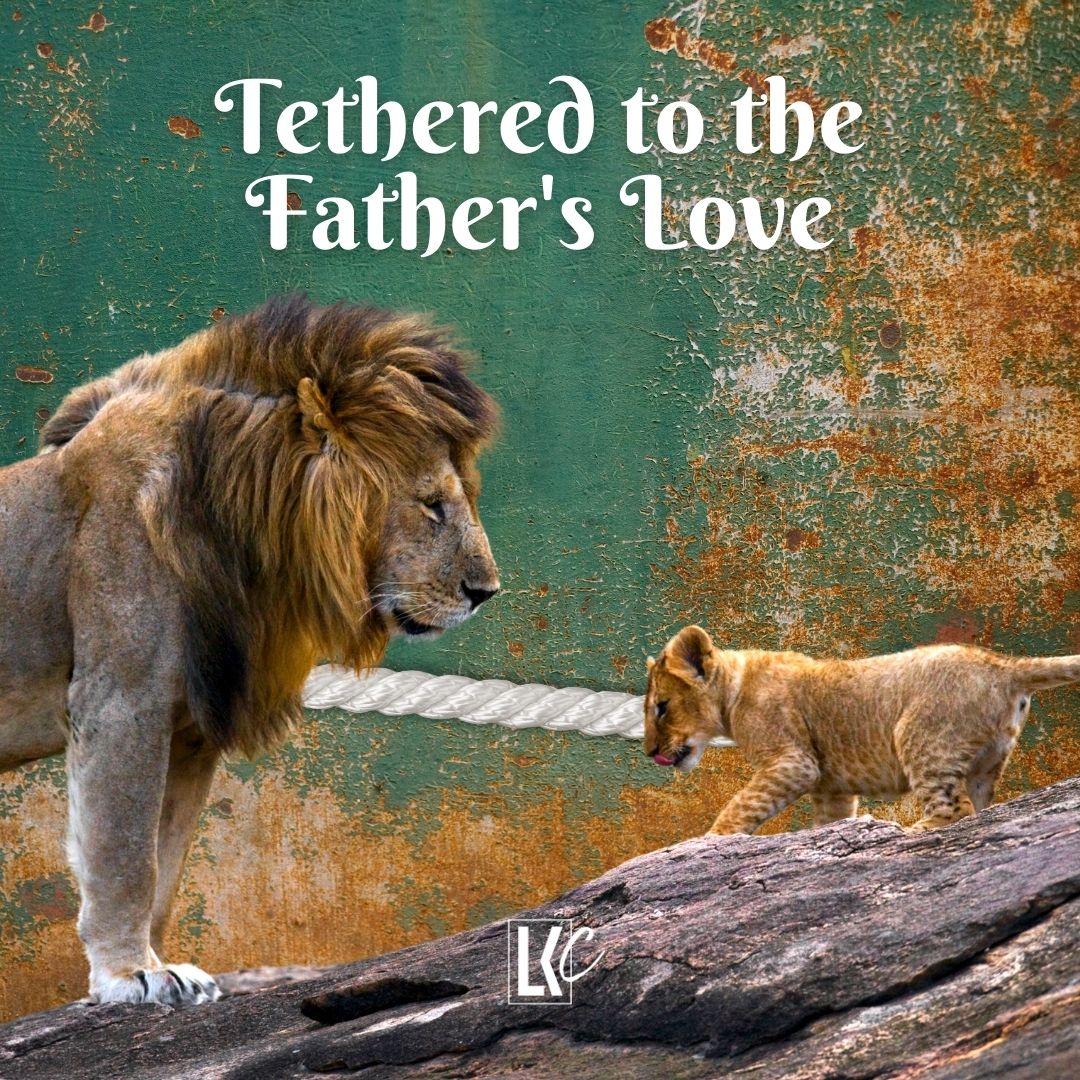 Tethered to the Father‘s Love | LoveKey Church Message of the Week Podcast | Heinz Winckler