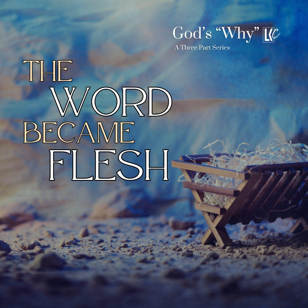 God’s Why: 3. ”The Word Became Flesh” | LoveKey Church Message of the Week Podcast | Heinz Winckler