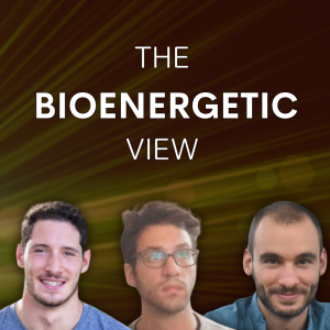 BV#3: Georgi Dinkov Responds To Estrogen Criticism, Serotonin Confusion, & Low Thyroid On Carnivore