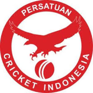 3. Cricket in Indonesia, with Abhiram Singh Yadav