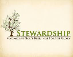 ~Stewardship~
