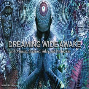 Lucid Dreaming Guide The Mind S Eye Show