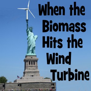 035 - Wind Energy (from Wind Mills to Wind Turbines)