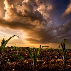 Digging Deep: Iowa Agriculture