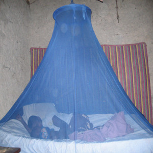 1.B How to avoid, treat and eliminate malaria