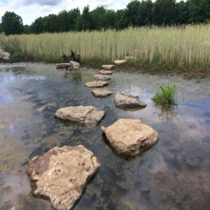 Coldstream Park Stream Restoration Project