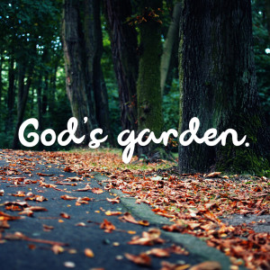 God's Garden