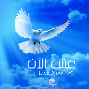 عش الان Live NOW!