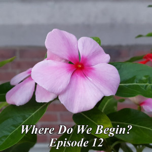 Where Do We Begin Episode #12: 2020 The Year Of The Bugs