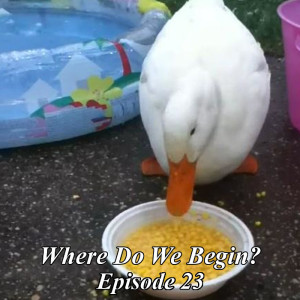 Where Do We Begin Episode #23: The Boss Is Out