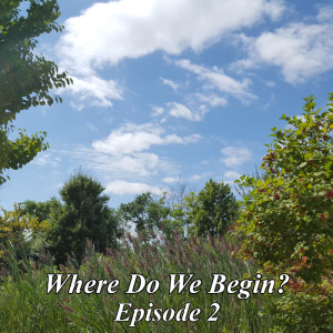 Where Do We Begin? Episode #2: Flat Stanley Should Be Dead