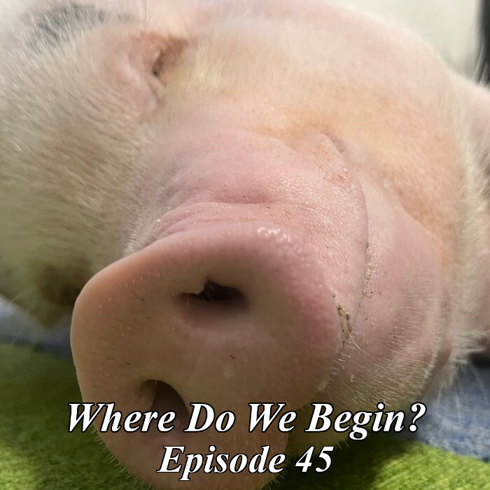 RTVS Podcasts
