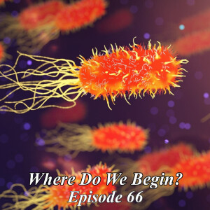 Where Do We Begin Episode #66: Invisible City (and Pax East 2025 Talk)