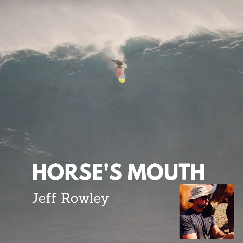 HORSES MOUTH