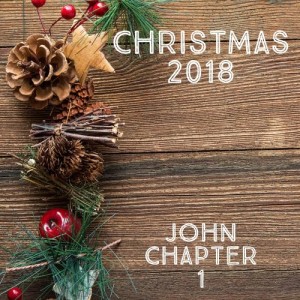 Christmas 2018 - 2  Jesus and creation