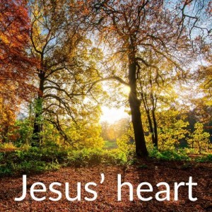 Jesus' heart... gentle and humble