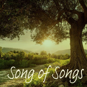 Song of Songs 08: A captivated King