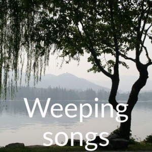 Weeping songs 11: Suffering to end suffering