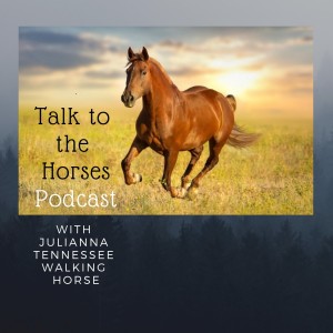 "What Horses Wish Humans Knew: We Forgive" Talk to the Horses Podcast #101