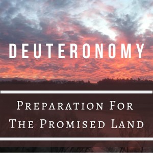 Deuteronomy: Preparation for the Promised Land - Stand