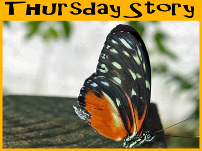 Thursday Story - Butterfly with Deb