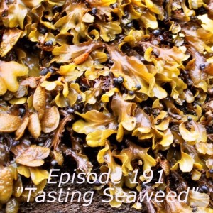 Episode 191 Interview  ”Tasting Seaweed”