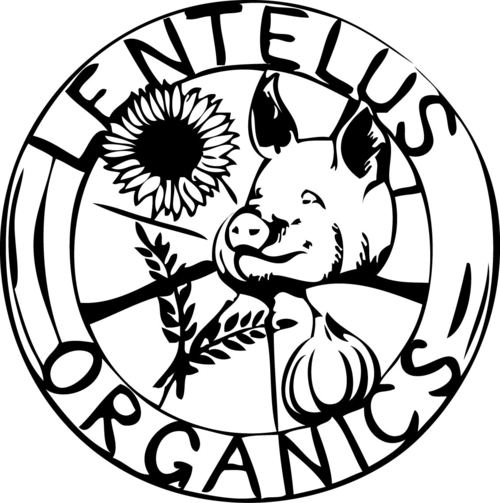 Episode 111" Lentelus Organics with Dave Semmelink"