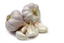 Episode 104 ”More Garlic”