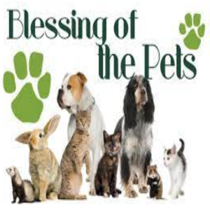 Blessing for Our Pets