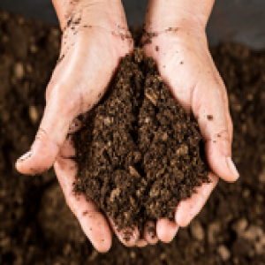 Thoughts About Dirt